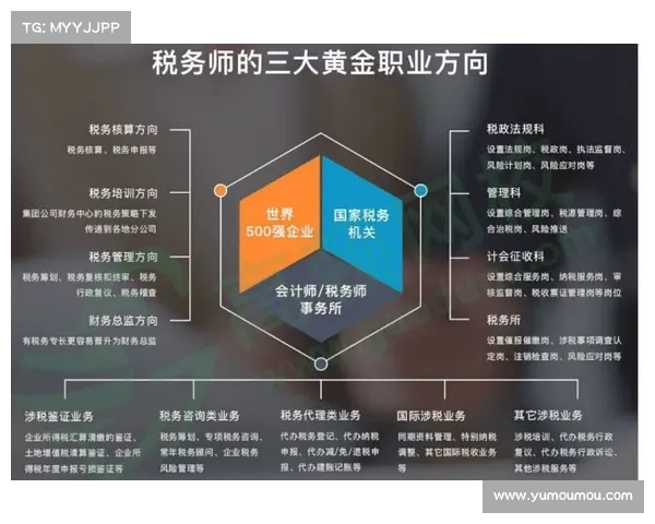选择月影传说职业时需要考虑的三大关键因素与建议 选择月影传说职业时需要考虑的三大关键因素与建议